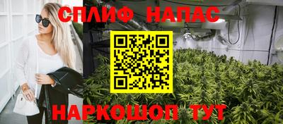 прущая мука Будённовск
