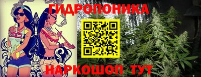 дмт Аргун