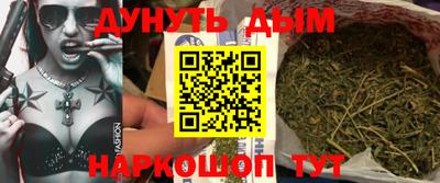 дмт Аргун