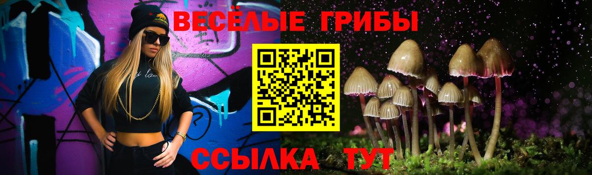 где купить наркотик  Псилоцибиновые грибы Cubensis  Галлюциногенные грибы Psilocybine cubensis  Вход с VPN  Балаково 